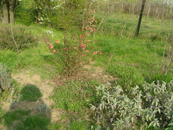 P1018888