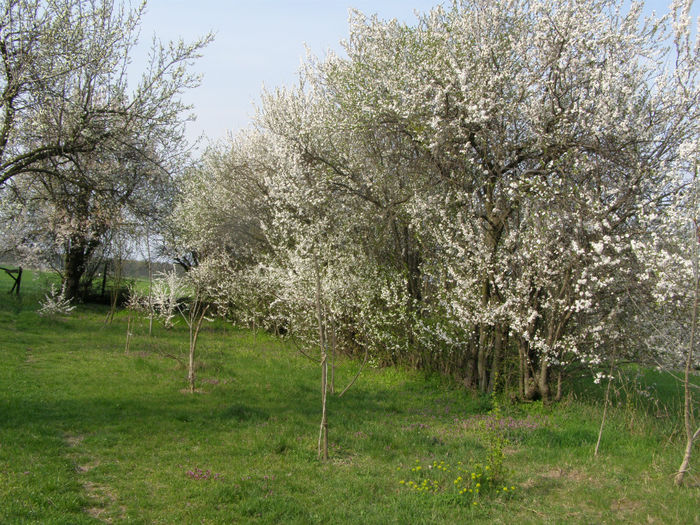 P1018889
