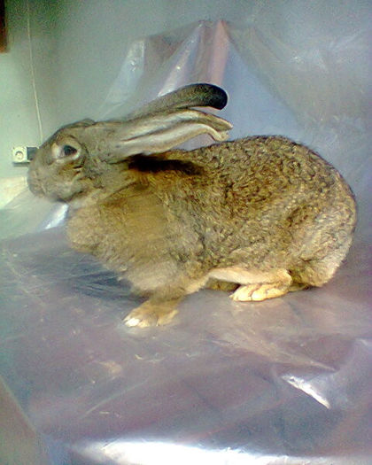 Fotogr.0136