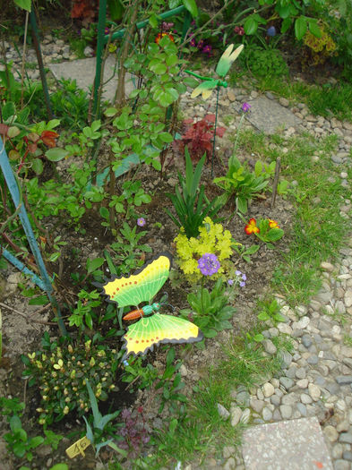 DSC05453 - Gradina in 2014