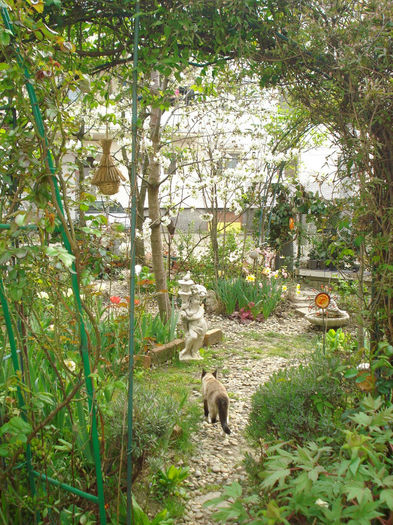 DSC05471 - Gradina in 2014