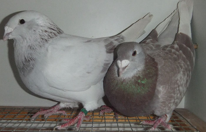 DSCF7656