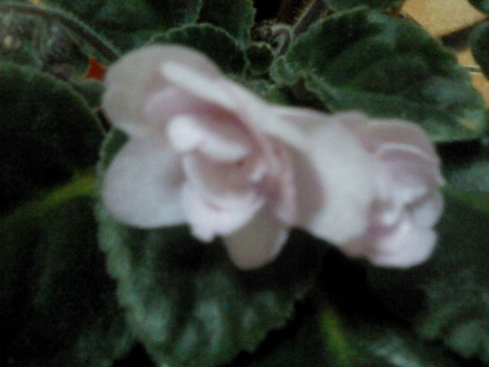 APRILIE 2014 001 - aprilie 2014