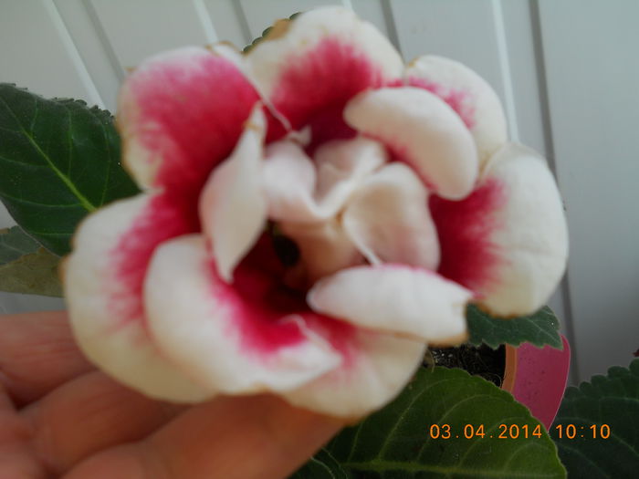 039 - APRILIE 2014
