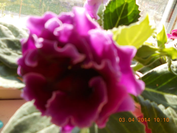 042 - APRILIE 2014