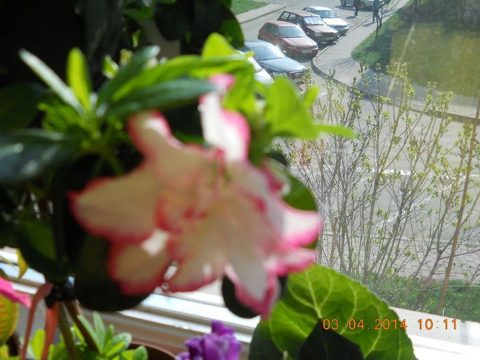 047 - APRILIE 2014
