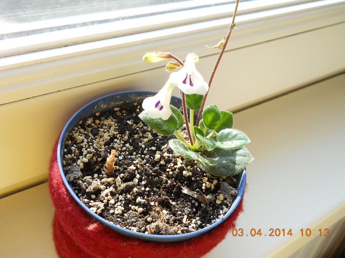 053 - APRILIE 2014