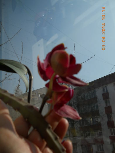 059 - APRILIE 2014