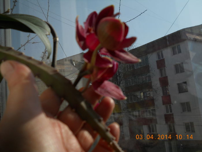 060 - APRILIE 2014