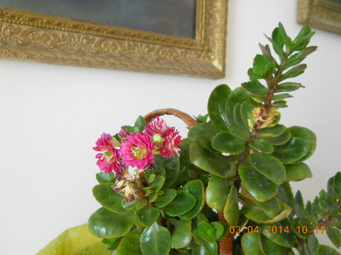 075 - APRILIE 2014