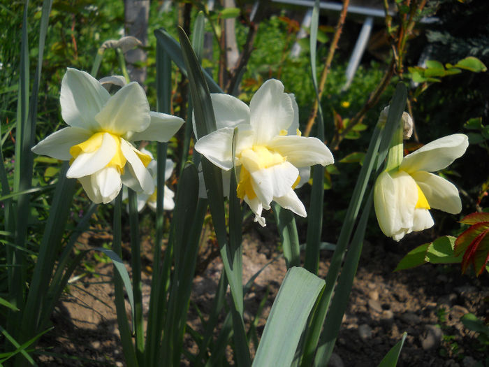 DSCN1022_011