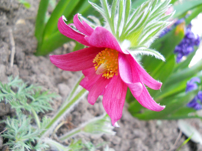 DSCN1025_014