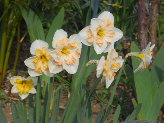 DSCN1030_019
