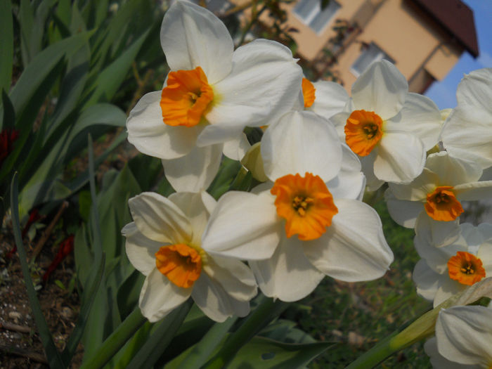 DSCN1033_022