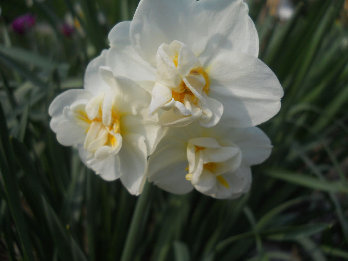 DSCN1034_023