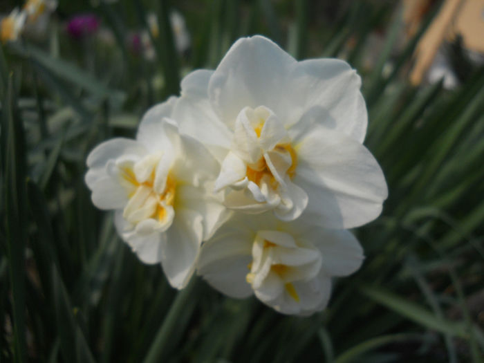 DSCN1035_024