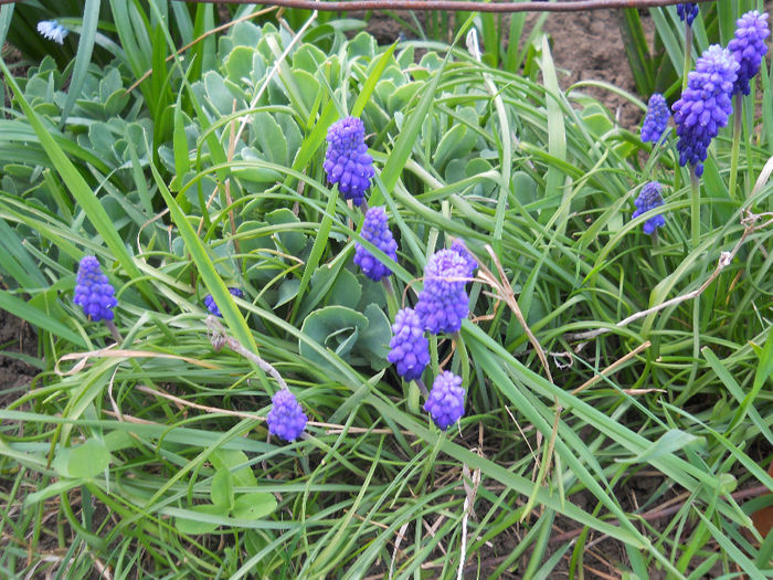 DSCN1047_036