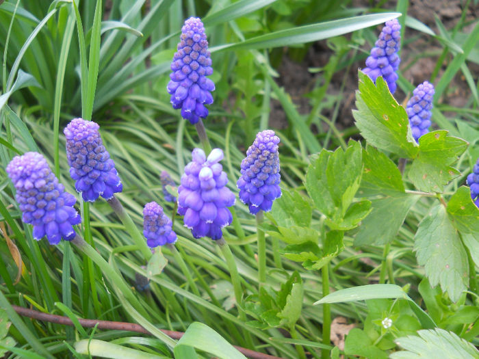 DSCN1049_038