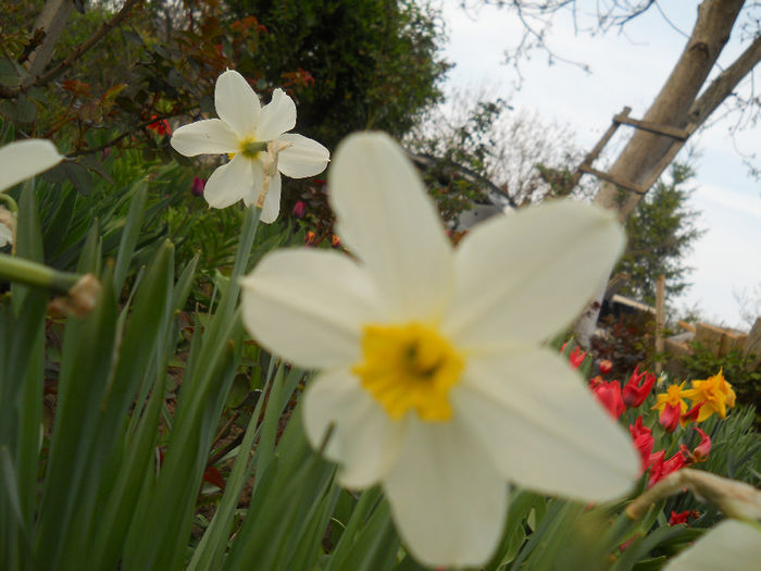 DSCN1051_040