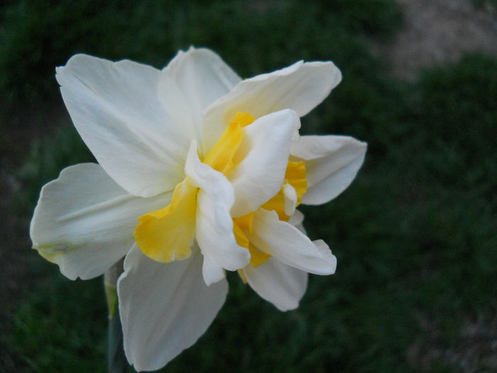 DSCN1060_049