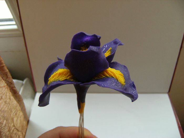 iris polymer clay 007 - Buchete de flori