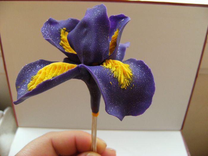 iris polymer clay 008 - Buchete de flori