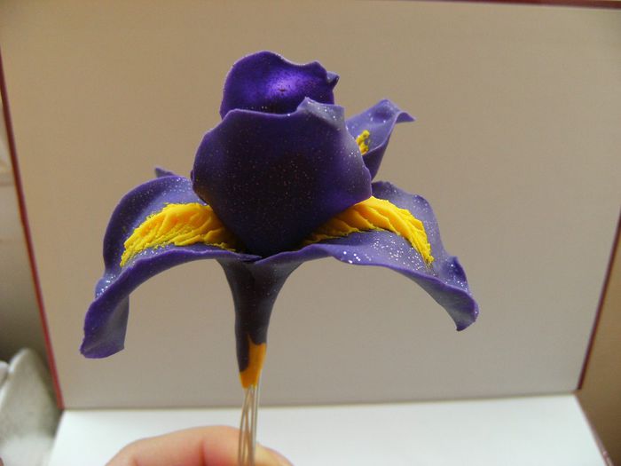 iris polymer clay 009 - Buchete de flori