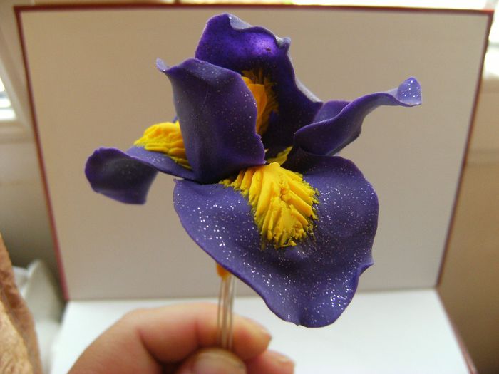 iris polymer clay 010 - Buchete de flori