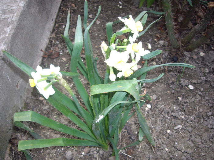 IMGP5833