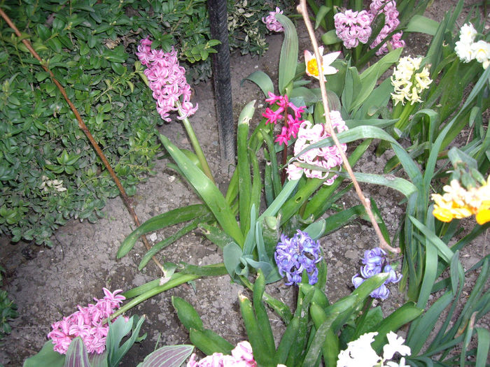 IMGP5835