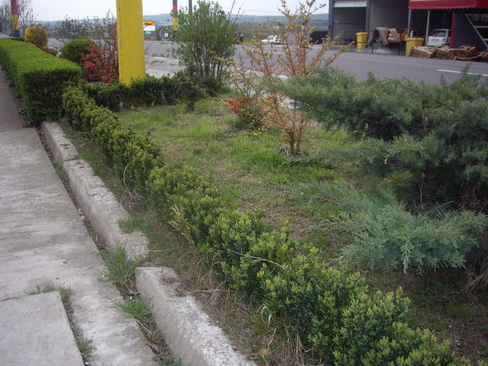 IMGP6051