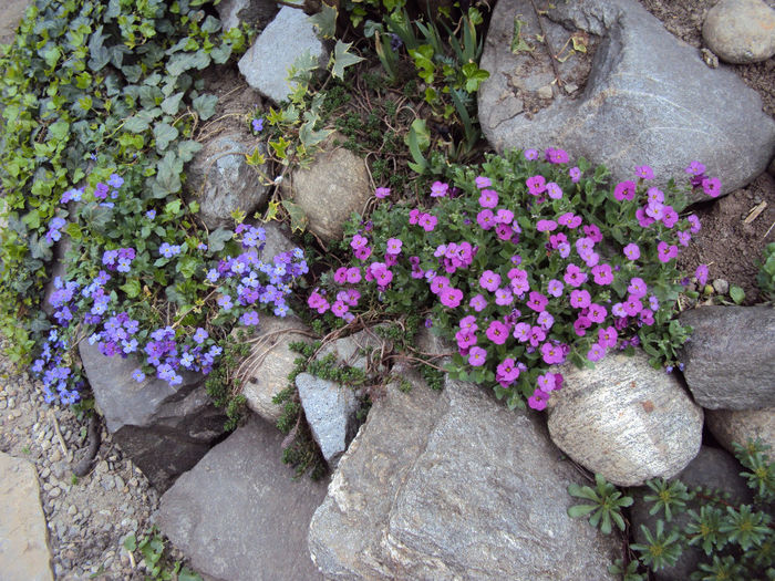DSC02513 - Stancarie