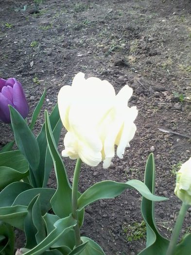 20140404_174741