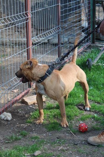 10153389_708745685842897_38943619_n