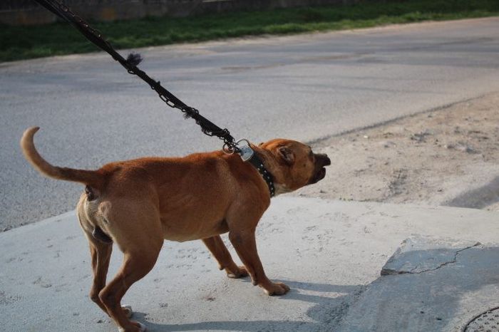 10168291_708746859176113_333191108_n