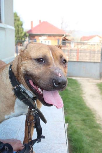 10168388_708746835842782_1633017304_n