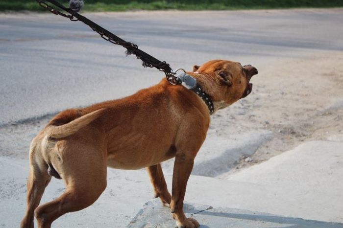 10168914_708746935842772_1173100306_n