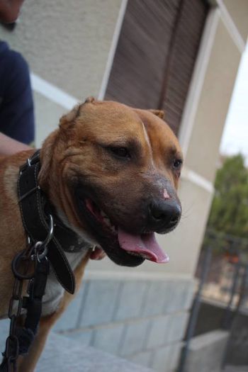 10178377_708746485842817_1089018666_n