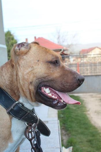 10178379_708746555842810_913863328_n