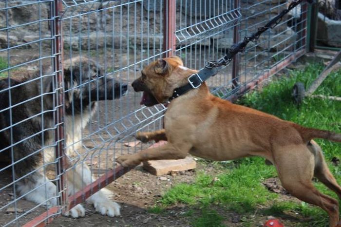 10178419_708745609176238_1134533207_n