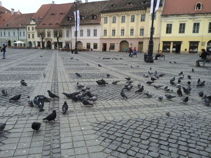 image - Sibiu 2014