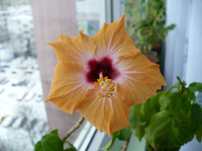P1490718
