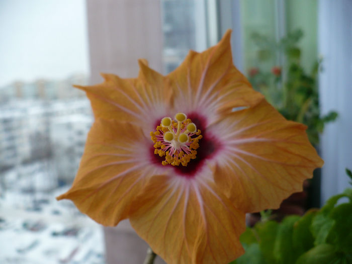 P1490719