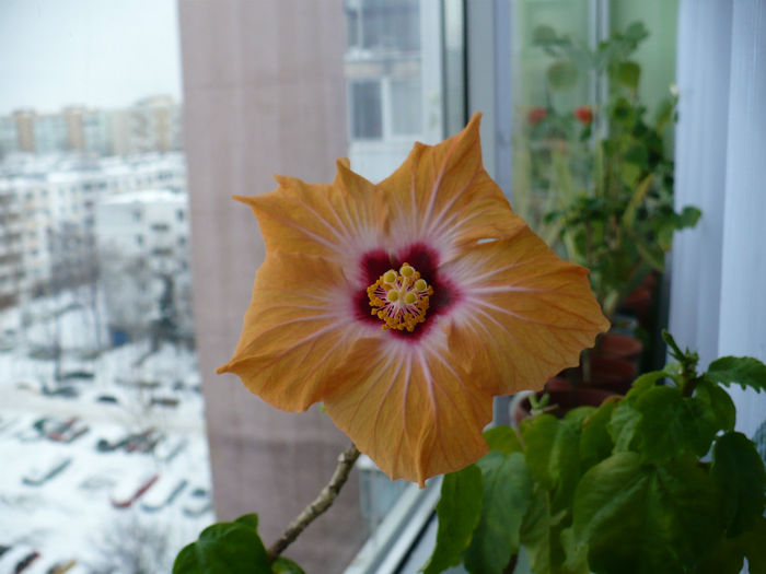 P1490720