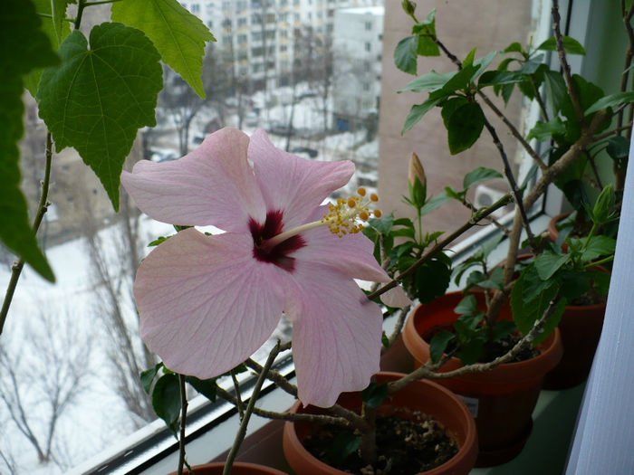 P1490756