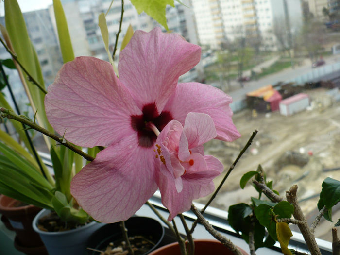 P1500228