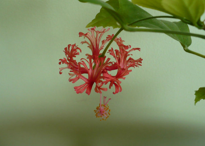 P1500548