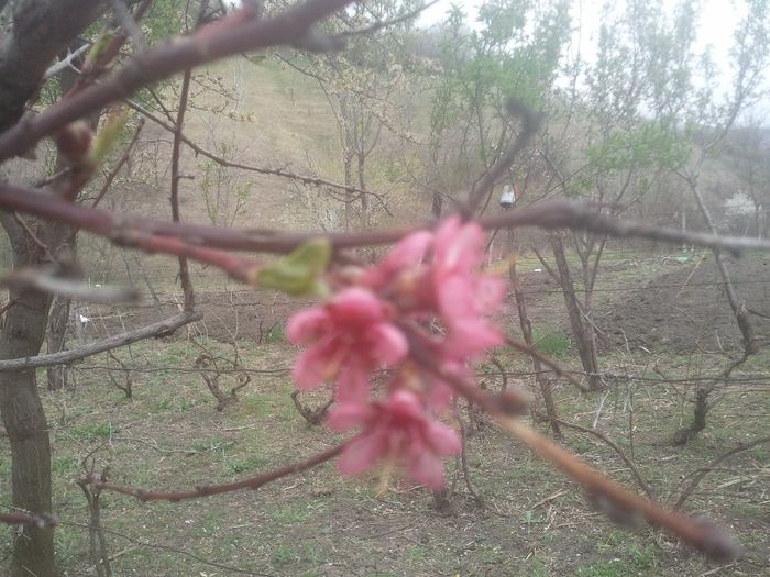 2014-04-03 12.53.38