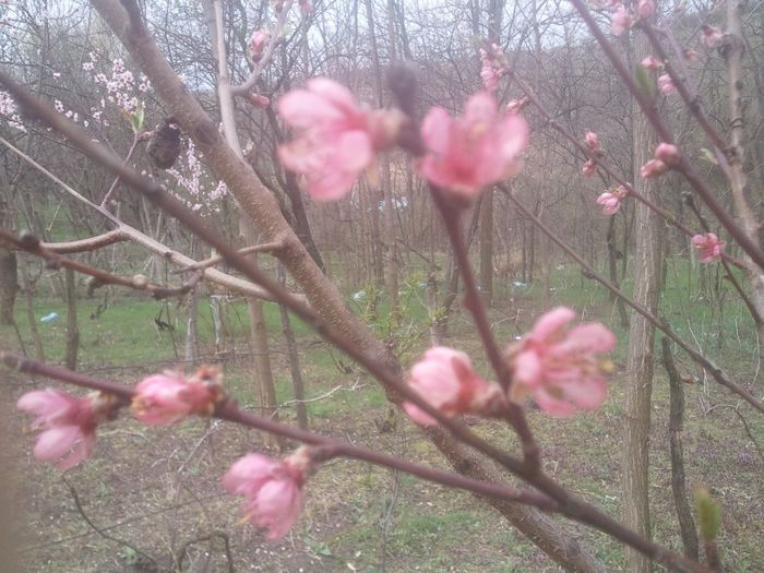 2014-04-03 12.55.55