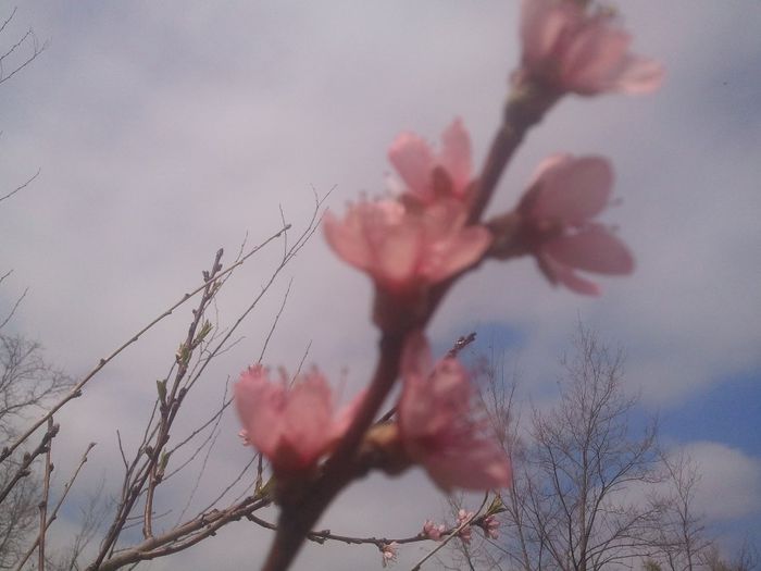 2014-04-03 13.56.10